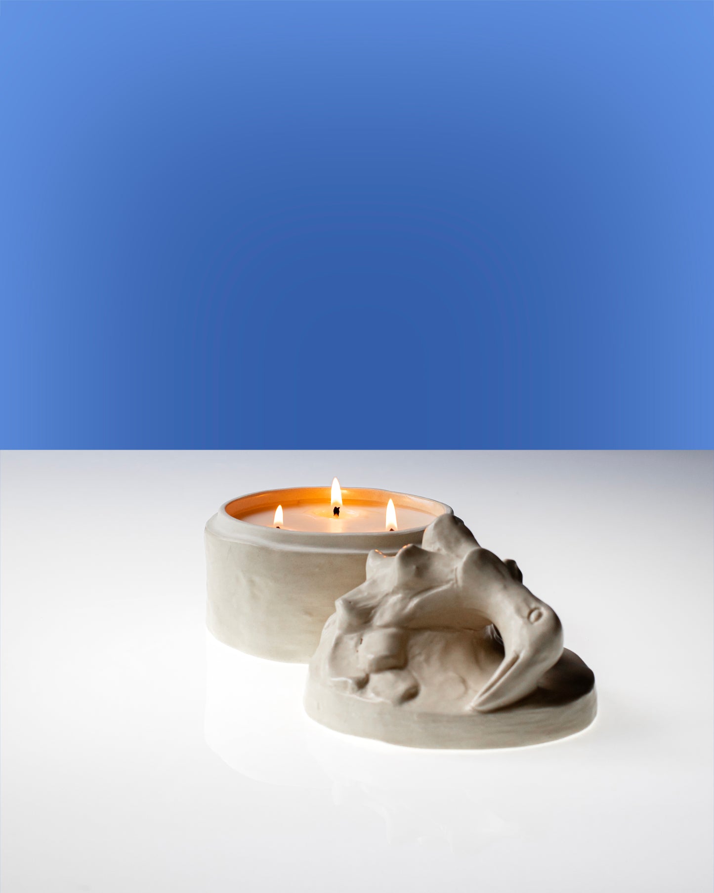 aangestoken serax en Bela Silva handgemaakte sojakaarsen. geurkaarsen M