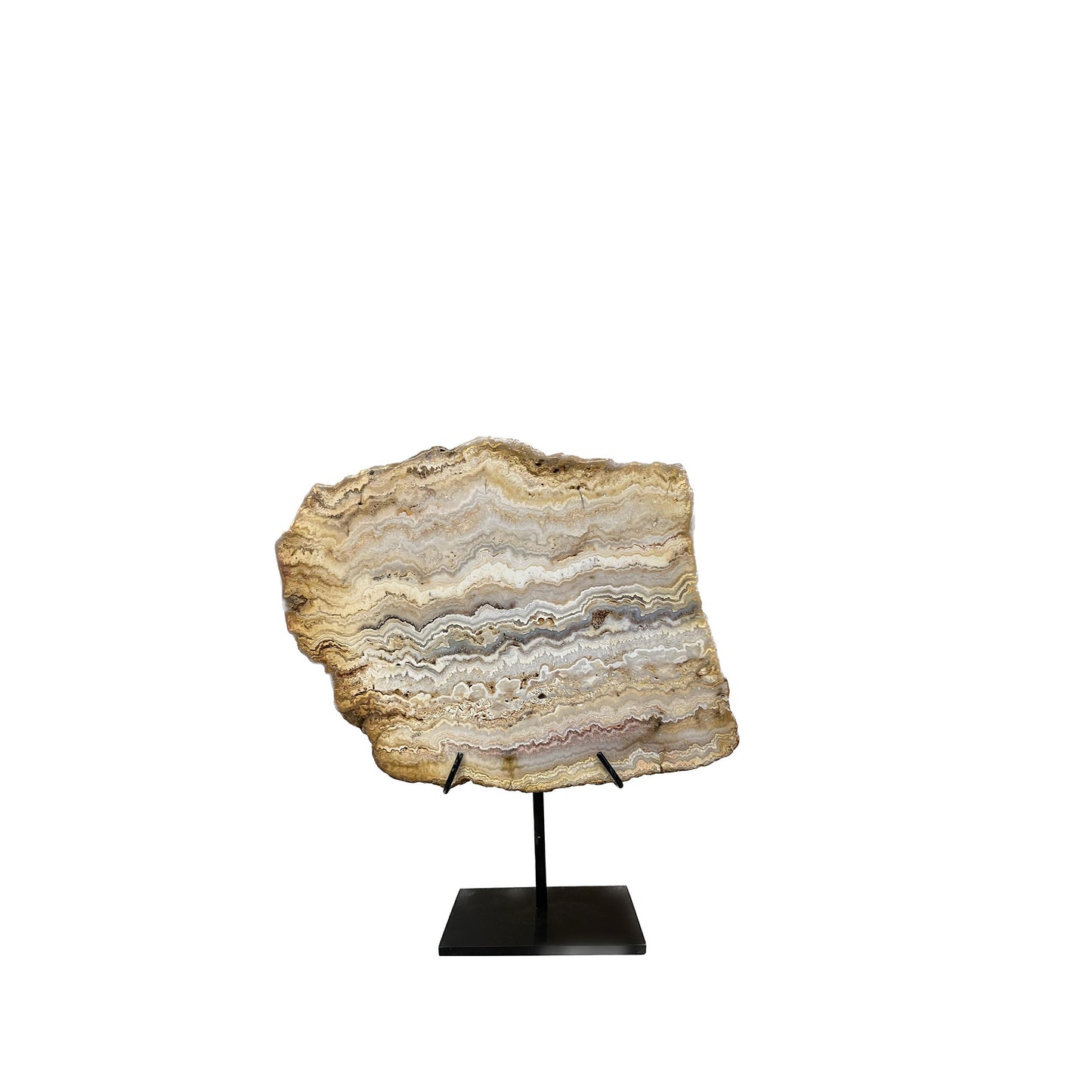 Versteend hout op voet