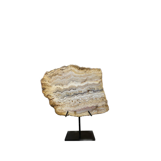 Versteend hout op voet